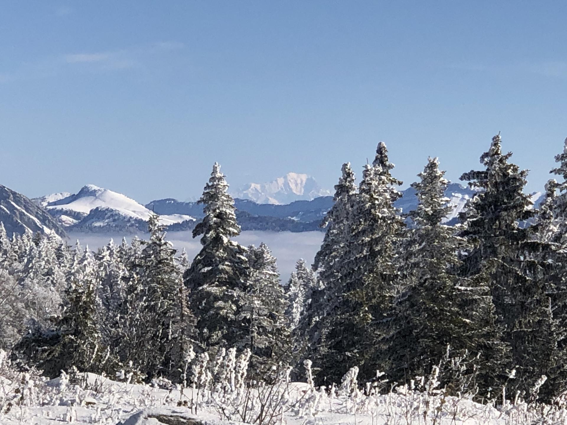 Ythouveninautransmontblanc